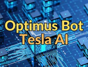Optimus Bot Tesla