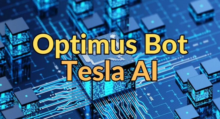 Optimus Bot Tesla